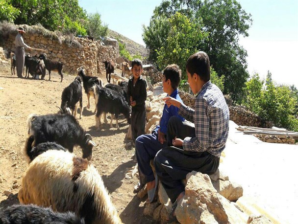 زندگی سخت اما شیرین روستائیان کردستانی به روایت تصویر