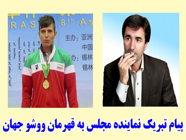 پیام تبریک نماینده اردبیل به قهرمان ووشو جهان