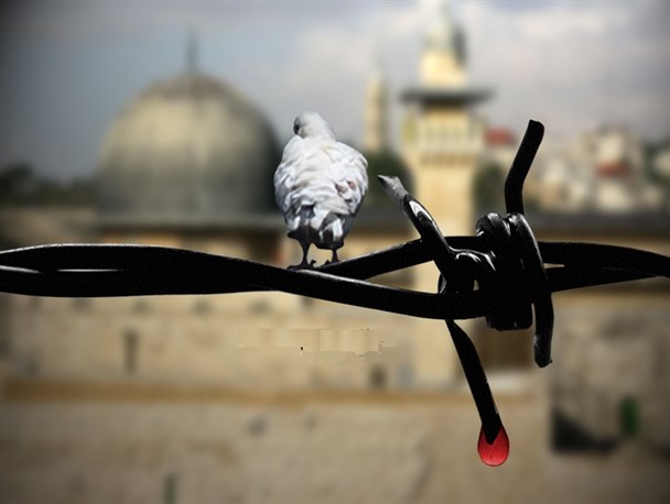 فلسطین اشغالی بزرگترین زندان روی زمین
