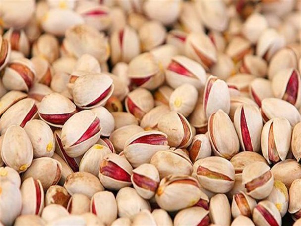 برداشت یک تن پسته از باغات پلدشت