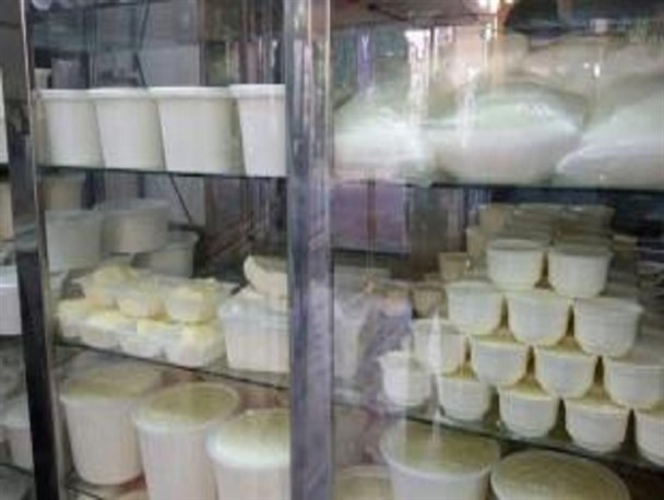 نظارت ضعیف منجر به رشد مراکز غیر مجاز عرضه لبنیات سنتی در کرمانشاه شده است/استفاده از ریکا و جوش شیرین در فرآورده های لبنی