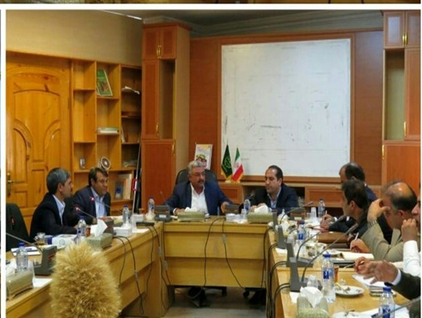 برگزاری جشنواره میوه‌های گرمسیری در چابهار/ سیستان و بلوچستان خواستگاه تولید میوه‌های گرمسیری