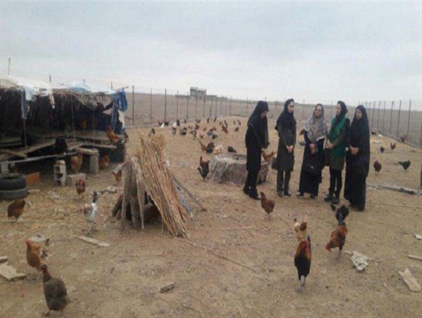 بازدید از مشاغل خانگی در روستاهای بندرترکمن/تصاویر