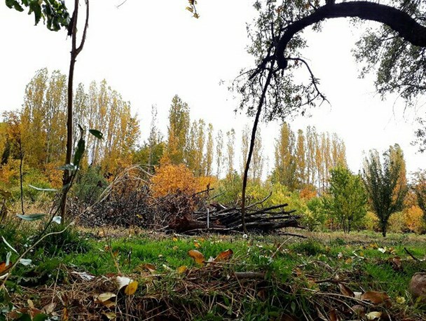 پائیز برگ‌ریز دهستان زیبای جاسب+تصاویر