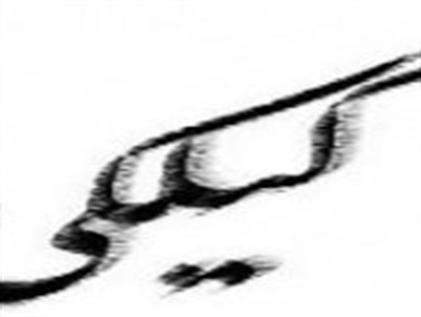 اصطلاحات فراموش شده غرب مازندران