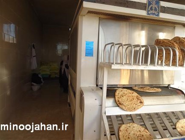 روزی حلال کار مردانه زنانه ندارد