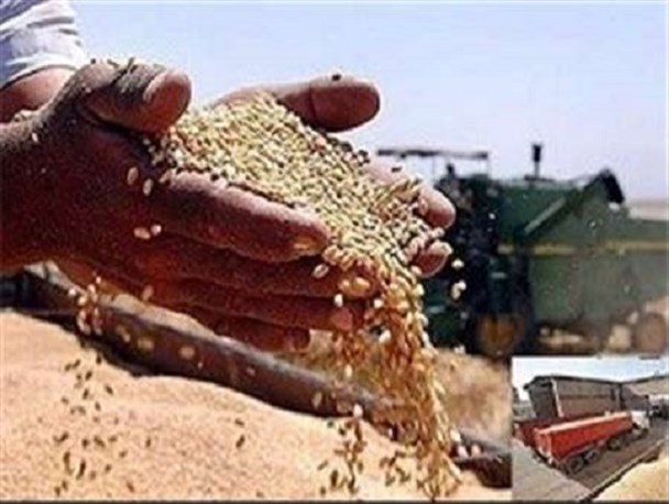 تشکیل بنیاد گندم کاران نمونه در خوانسار