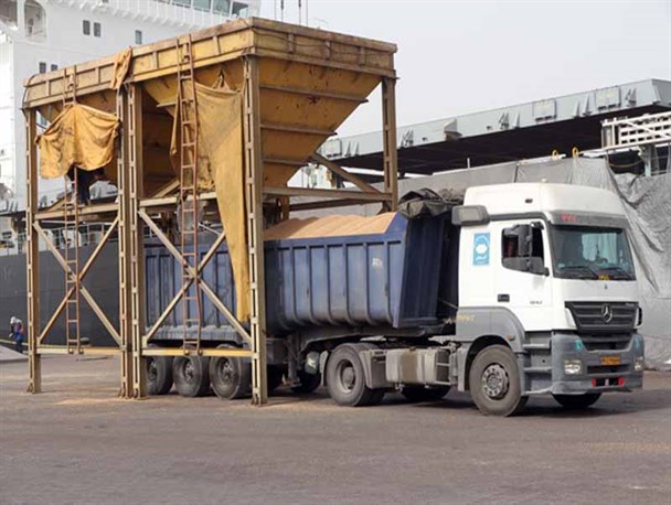 یک میلیون تن گندم بیشتر از پارسال وارد بنادر شد