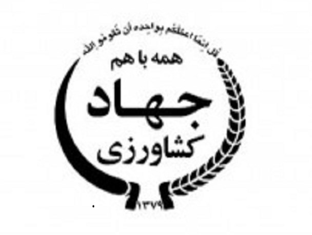 مراسم تجلیل از تولیدکنندگان بخش کشاورزی در آبیک برگزار شد