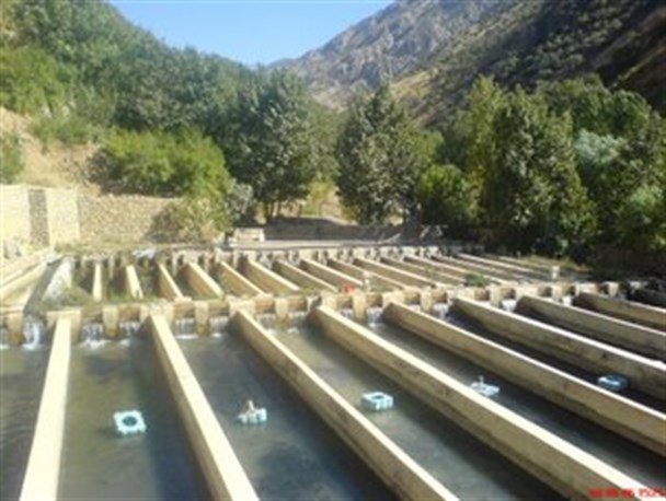 ساری رتبه اول آب بندان پرورش ماهی در کشور