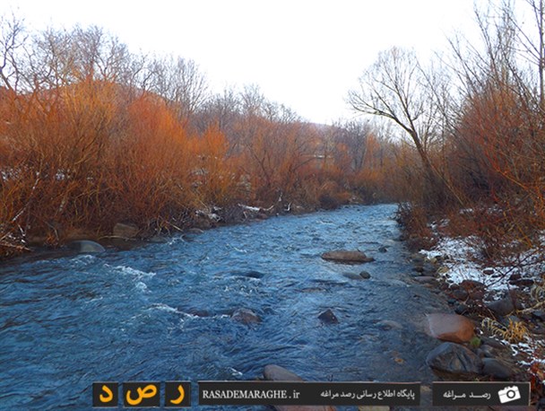طبیعت زمستانی در مراغه / تصاویر