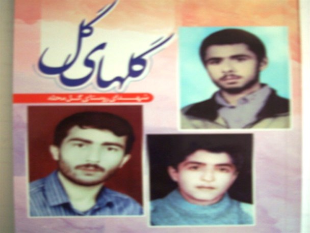 کتاب «گل‌های گل » دهه‌فجر امسال در محمودآباد رونمایی می‌شود