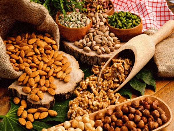 برپایی نخستین نمایشگاه تخصصی آجیل، خشکبار شرق کشور در شاندیز