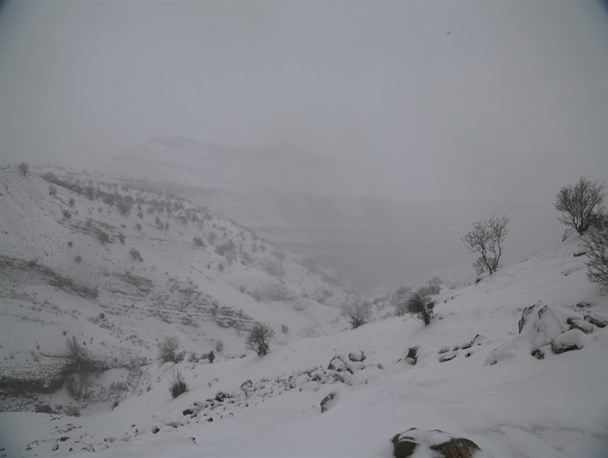 تلفن ثابت 27 روستای دره شهر قطع شد