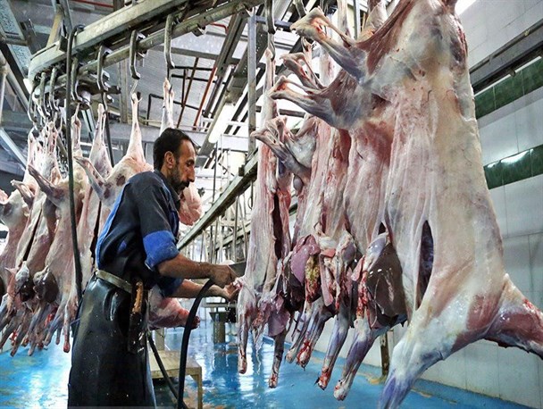 افزایش 20 تا 30 درصدی قیمت گوشت قرمز