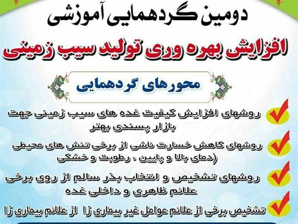 کشاورزان بهاری با روش های افزایش بهره وری تولید سیب زمینی آشنا می شوند