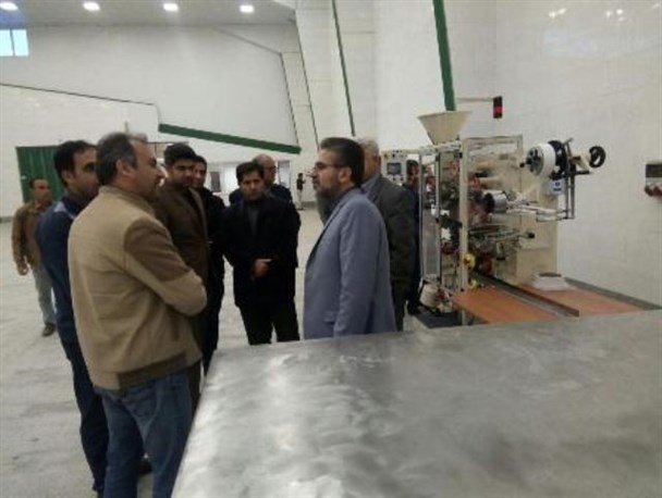مهمترین اصل در توسعه اقتصادی کشور کمک به رفع موانع تولید است