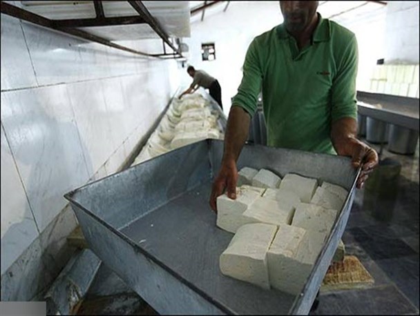 چرب شدن بازار لبنیات فله‌ای غیراستاندارد در سایه عدم نظارت‌ها/ طرح ناموفق ساماندهی فروشگاه‌های عرضه محصولات لبنی سنتی