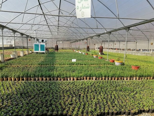 ۱۲ پروژه عمرانی شیروان در دهه فجر ۱۴۰۰ افتتاح می شود