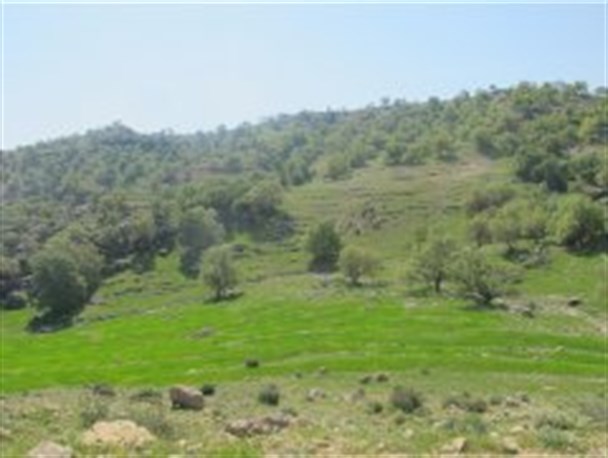 فرار گردشگران از شهرستان لنده به واسطه نبود امکانات رفاهی و گردشگری