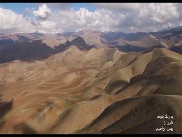 مستند «به رنگ بلوط» اکران می شود