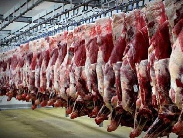 کشف 184 کیلوگرم گوشت غیر بهداشتی در گنبد کاووس