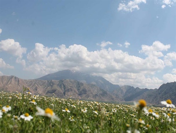 طبیعت بهاری دشت بُندون را از دست ندهید + تصاویر