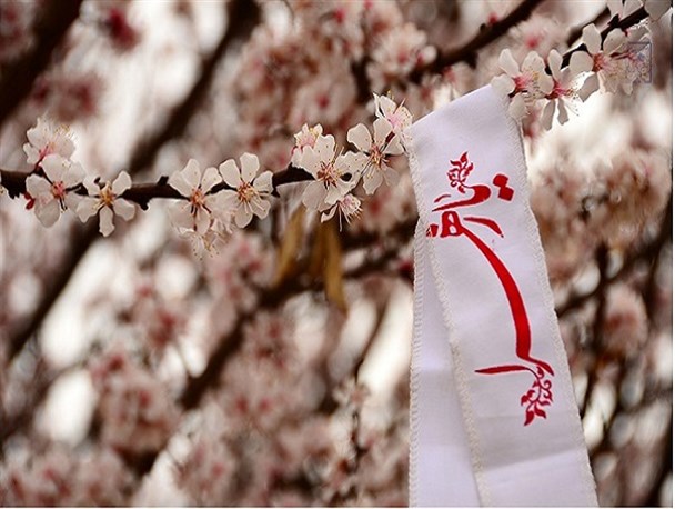بهار فاطمی