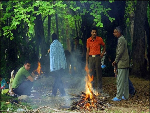 صدای سبزه زارهای خاموش ازبی مهری برخی ازانسان ها