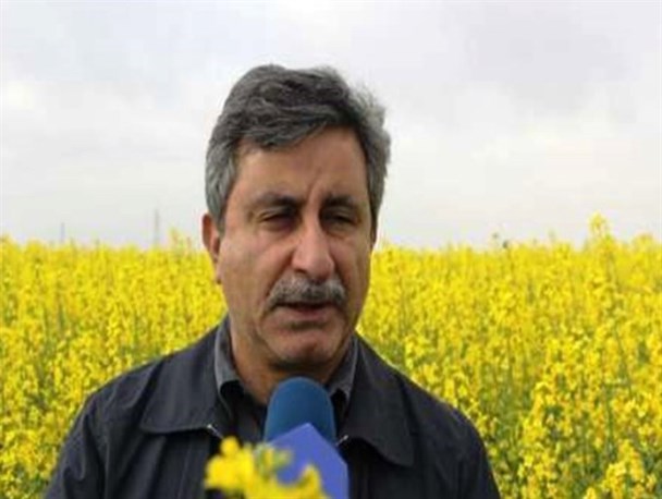 90 درصدی روغن کشور وارداتی است/ مشوق‌های افزایش تولید روغن داخلی در دستور کار دولت
