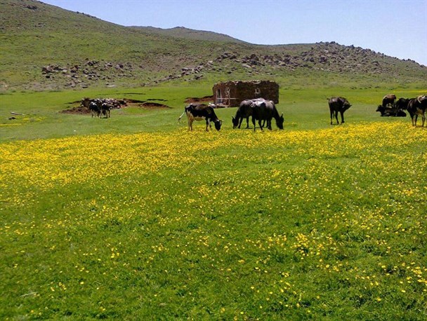 جلده باخان, بهشتی گمشده در دامنه بزقوش/ طبیعت شمالی در سردترین نقطه کشور