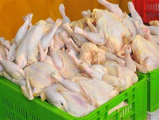 مرغ تنظیم بازار به اندازه کافی در استان عرضه می‌شود