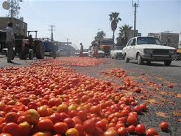 افت قیمت محصولات کشاورزی در جنوب کرمان/ نبود کارخانه صنایع تبدیلی در جنوب کرمان