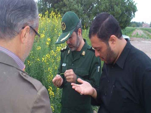 فعالیت های عملی بسیار خوبی توسط نخبگان بسیجی ورامین در زمینه کشاورزی صورت گرفته است