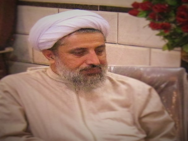 شورای تامین استان در انتقام خون مرزبانان میرجاوه ضعیف عمل کرد/ سپاه و مرزبانان حافظ امنیت کشورند