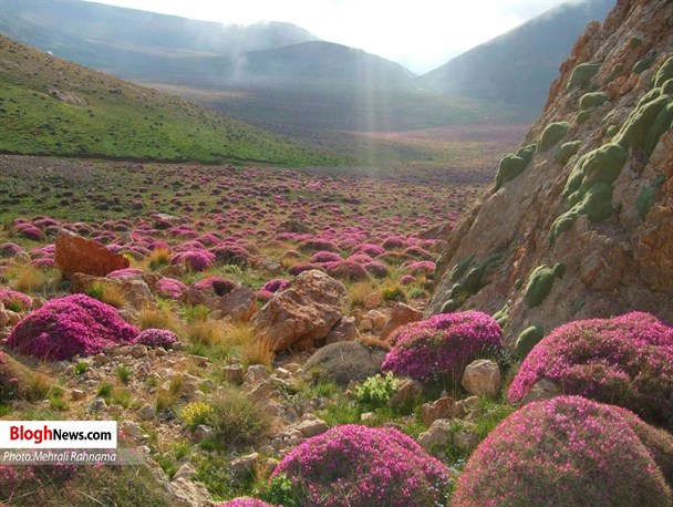 طبیعت بهاری سوادکوه