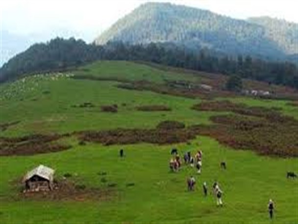 طارم زنجان، دنیایی از سکوت و زیبایی