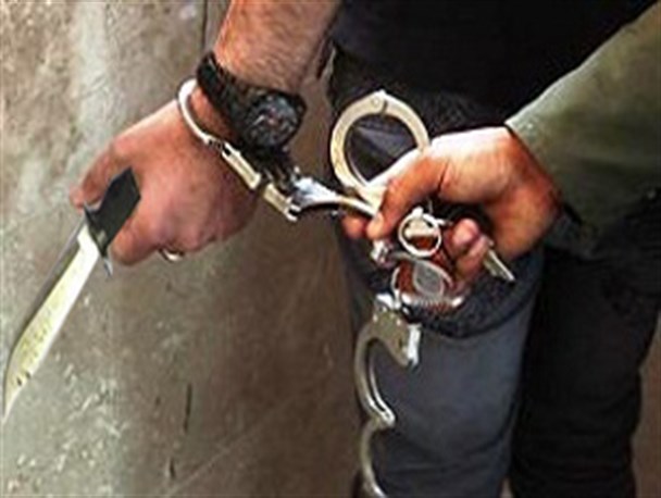اوباش قمه به دست در پارس آباد با گلوله پلیس به زانو درآمد