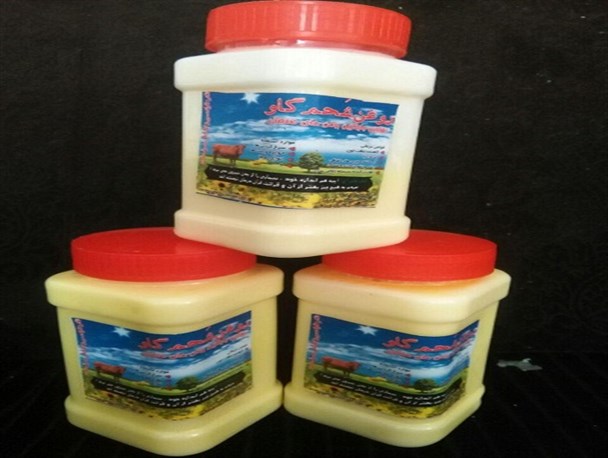 دغدغه روحانی کرمانی برای احیای مواد غذایی سالم و طب اسلامی/ شحم گاو؛ روغن مورد تایید قرآن و اهل بیت