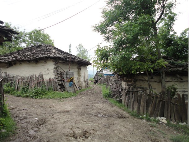 روستای لشکنار کجور شهرستان نوشهر به روایت تصویر