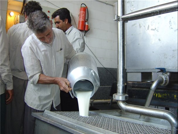 خرید تضمینی شیر از دامداران از 18 خرداد آغاز می شود