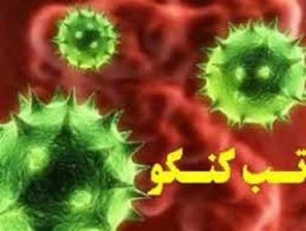 زنگ خطر بیماری تب کریمه کنگو در کرمان به صدا در آمد/شهروندان گوشت خود را از مراکزی غیرمجاز تهیه نکنند