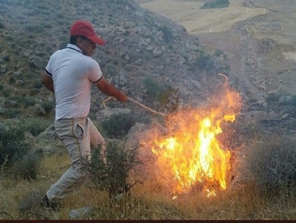آتش سوزی منطقه مراسخون صحت ندارد