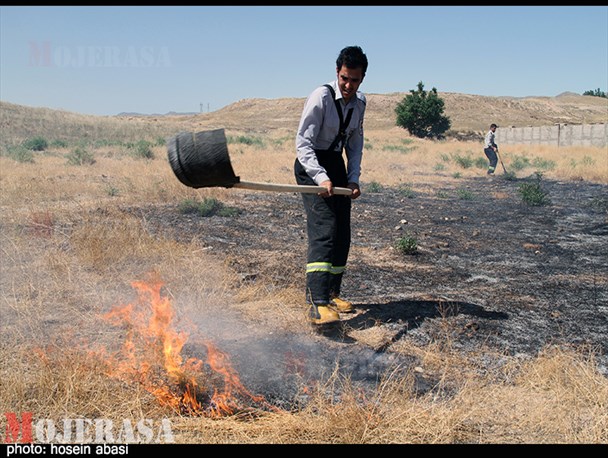 آتش‌سوزی گندم‎زارهای زنجان با تلاش آتش‌نشانان مهار شد+ عکس