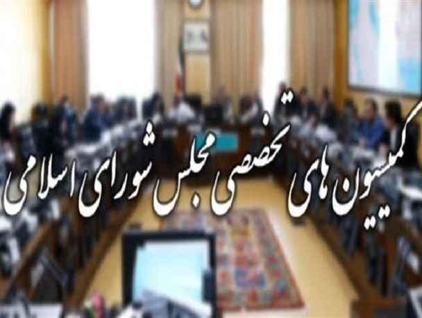 نقاط قوت و ضعف ساختار تعیین کمیسیون های تخصصی/ آیا مجلس تخصص گراتر شده است؟