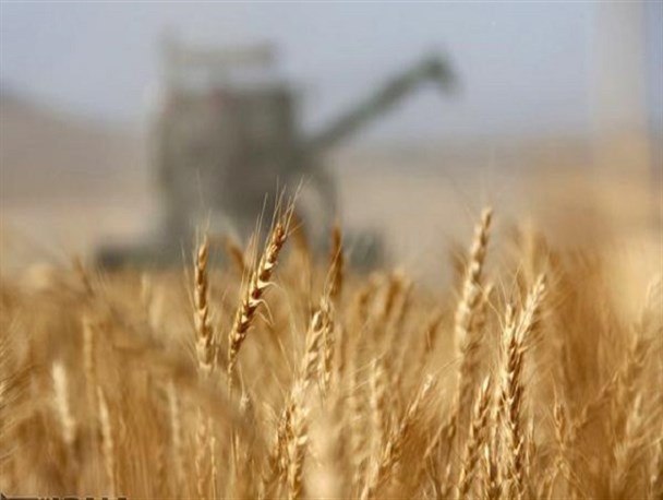 رشد 89 درصدی صادرات محصولات کشاورزی از گمرکات کردستان