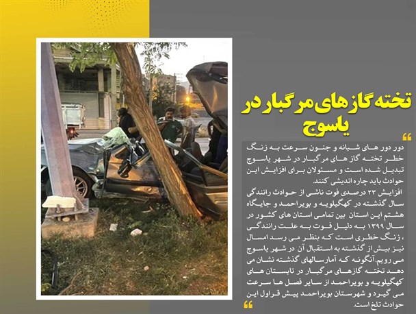 تخته گازهای مرگبار در پایتخت طبیعت/ ذبح سلامتی یاسوجی‌ها زیر ساطور قصابی های غیر مجاز+تصویر