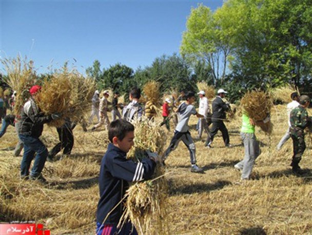اردوی جهادی بسیج برای کمک به کشاورزان بی بضاعت +تصاویر