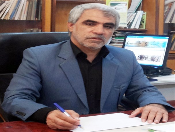 رتبه نخست شهرستان شادگان در تولید خرما در سطح استان/آغاز برداشت رطب از نخلستان های شادگان