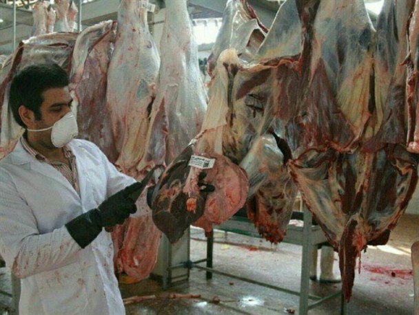 ذبح ۵۵ راس دام به نیت سلامتی مدافعین سلامت در رشتخوار